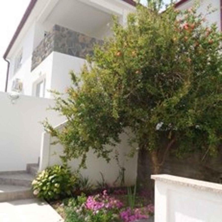 Apartments In Lopar - Insel Rab 40853 외부 사진